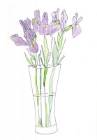 http://www.francesleeceramics.com/files/gimgs/th-10_Iris_3.jpg